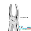 Forceps Light-Touch ENG - b89-upper-incisor