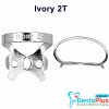 Ivory Clamp (Kulzer) - 2t-bicuspid-serrated-tiger