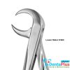 Forceps Light-Touch ENG - lower-molar-86c-each
