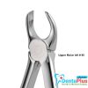 Forceps Light-Touch ENG - upper-molar-left-90-each