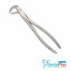 Lower Molar Extraction Forcep- Each