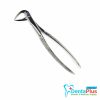 Lower Roots & Incisors - Each