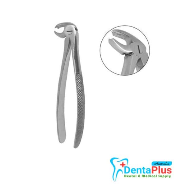 Lower Molar2 CM N-130