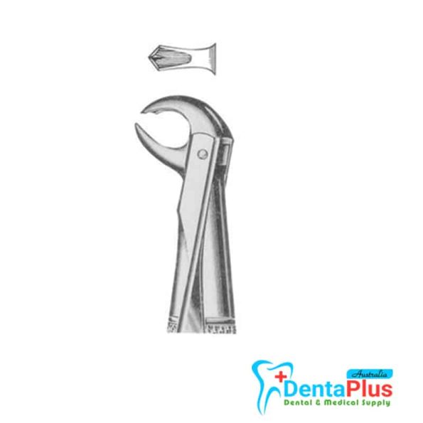 Lower Molar3 CM N-130