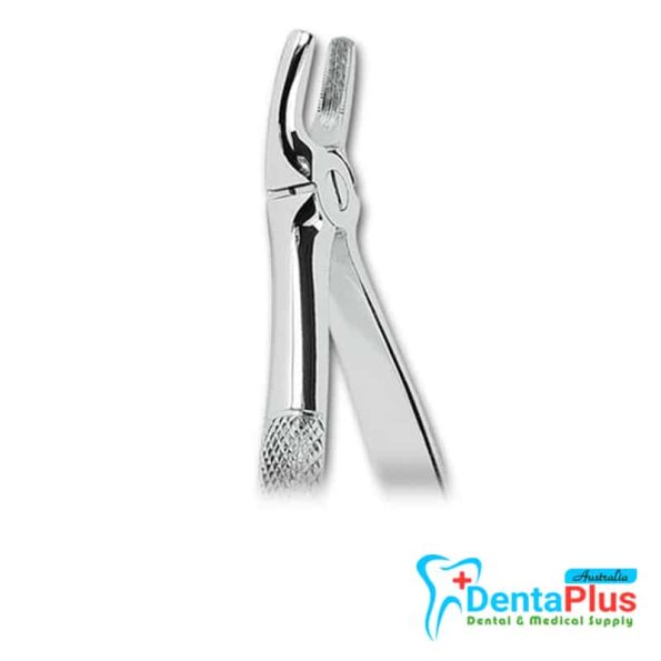 UPPER PRE MOLAR CM N-123