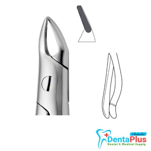 UPPER ROOT2 CMP N-126