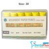 Absorbent Paper Point Colour Coded (Ongard) 200point/pkt - 20-2