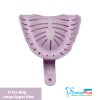 Edentulous Impression Trays, Astek Transform Heat Mouldable#12pcs/Bag - Large Upper Lilac #8